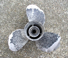 Sporn besch&auml;digt